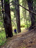 photo thumbnail #2