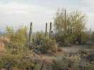 photo thumbnail #3
