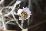 photo thumbnail #13