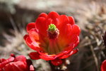 photo thumbnail #15