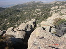 photo thumbnail #14