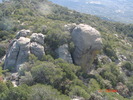 photo thumbnail #15