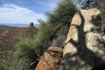 photo thumbnail #10