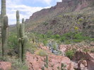 photo thumbnail #1
