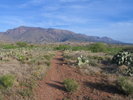 photo thumbnail #1