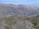 photo thumbnail #2