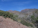 photo thumbnail #3