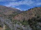photo thumbnail #13