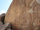 photo thumbnail #7