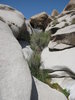 photo thumbnail #11