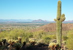 photo thumbnail #3