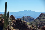 photo thumbnail #4