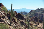 photo thumbnail #5