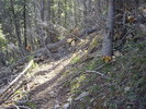 photo thumbnail #9