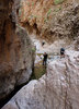 photo thumbnail #12