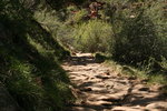 photo thumbnail #8