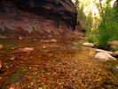 photo thumbnail #8