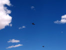 photo thumbnail #10