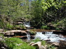 photo thumbnail #7