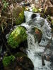 photo thumbnail #14