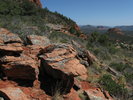 photo thumbnail #4