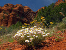 photo thumbnail #11