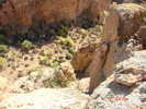 photo thumbnail #11