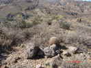 photo thumbnail #4