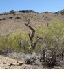 photo thumbnail #5