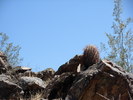 photo thumbnail #6