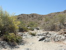 photo thumbnail #9
