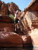 photo thumbnail #13