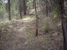 photo thumbnail #3