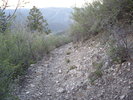 photo thumbnail #8
