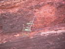 photo thumbnail #10
