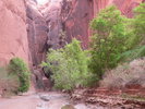 photo thumbnail #15