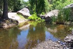 photo thumbnail #6