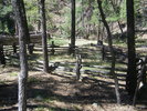 photo thumbnail #3