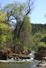 photo thumbnail #4