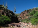 photo thumbnail #1