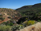 photo thumbnail #2
