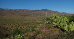 photo thumbnail #7