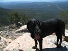 photo thumbnail #8