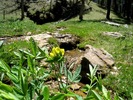 photo thumbnail #7