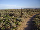 photo thumbnail #10