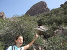 photo thumbnail #14
