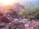 photo thumbnail #6
