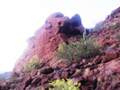 photo thumbnail #12