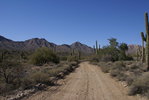 photo thumbnail #1