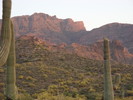 photo thumbnail #14